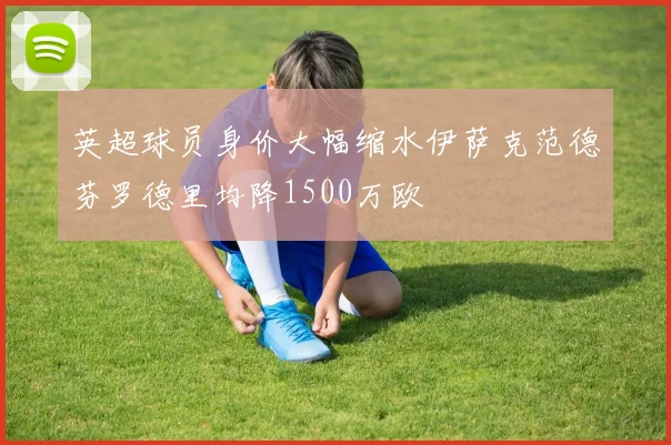 英超球员身价大幅缩水伊萨克范德芬罗德里均降1500万欧