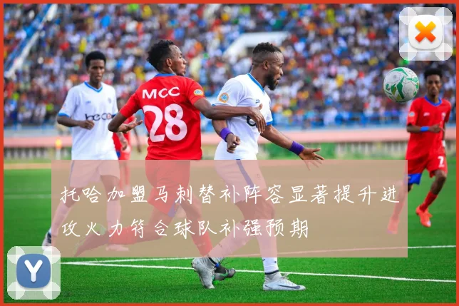 托哈加盟马刺替补阵容显著提升进攻火力符合球队补强预期